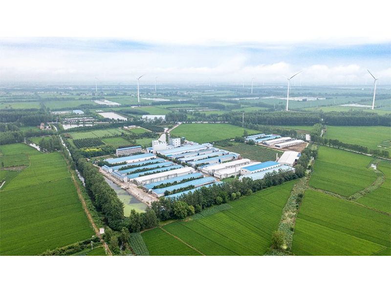 2023年中央一號文件出爐，畜禽產(chǎn)業(yè)應(yīng)抓住哪些新機遇？