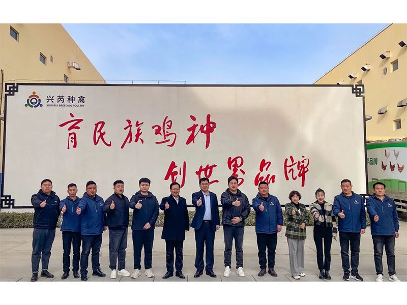 參觀學(xué)習(xí)促進步 交流合作贏發(fā)展︱卓一牧業(yè)赴興芮種禽、峪口禽業(yè)與瑞普生物參觀訪學(xué)