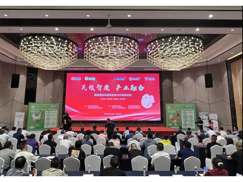 熱烈祝賀湖南規(guī)模化蛋雞企業(yè)CEO高峰論壇取得圓滿成功！